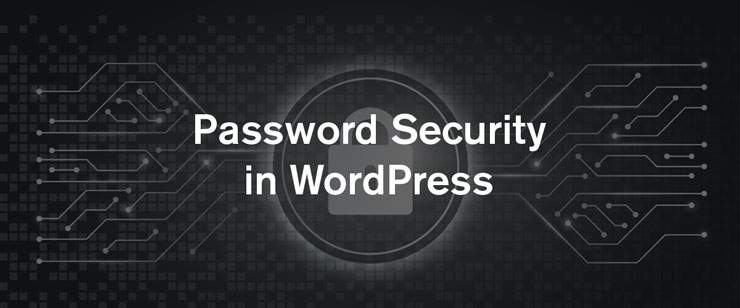 Password Security in WordPress